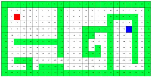 Assignment question in Project CAI104 on a maze with 12 rows and 24 columns