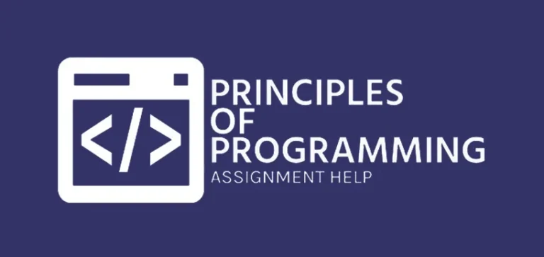 PRINCIPLES OF PROGRAMMING MIS501