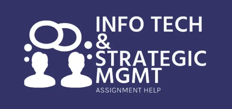 P31164 - INFORMATION TECHNOLOGY AND STRATEGIC MANAGEMENT