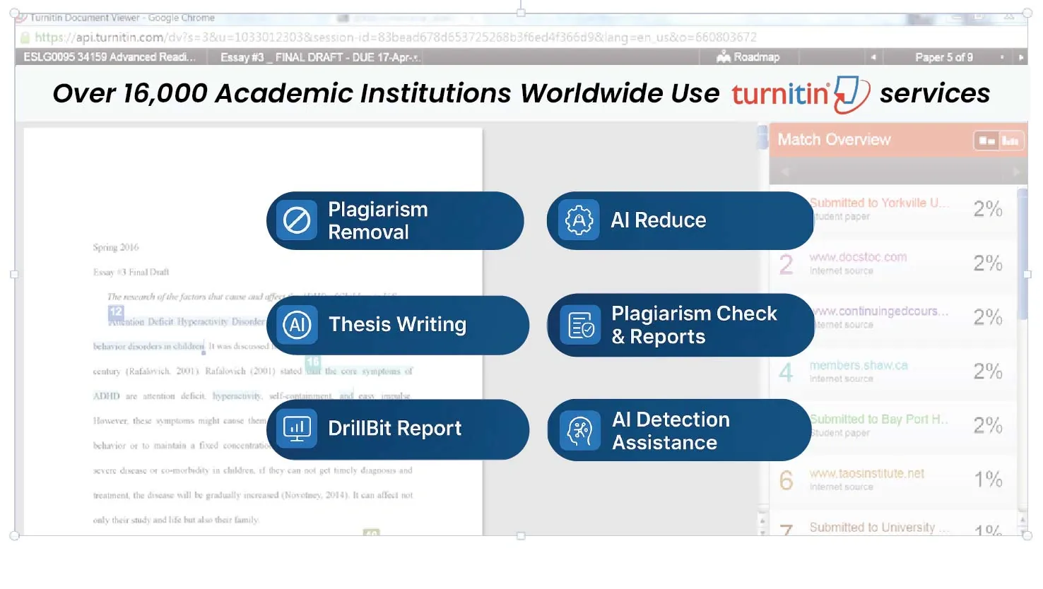 Features of Turnitin Services