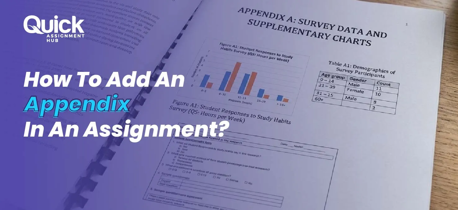 appendix in an assignment